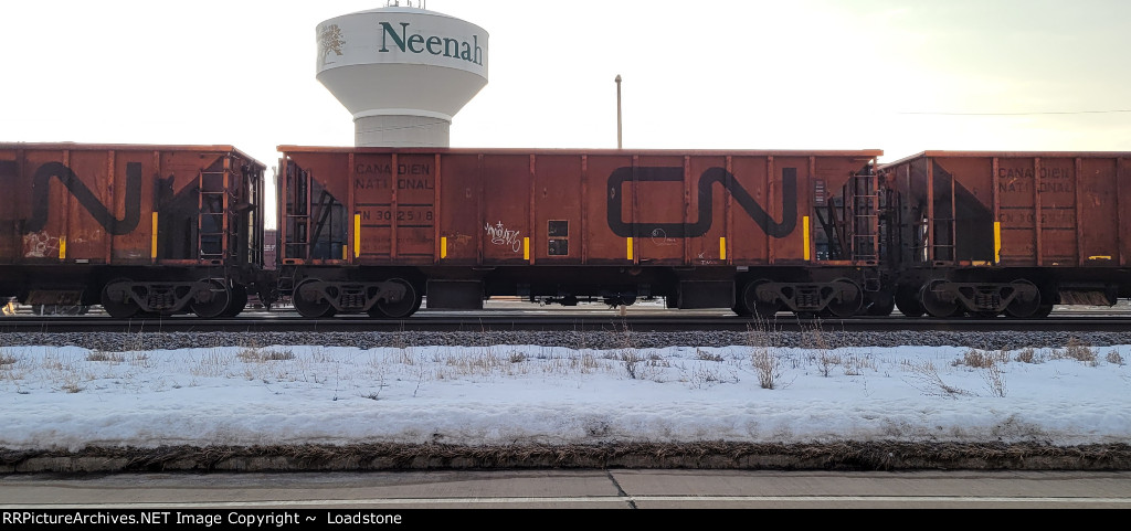 CN 302518